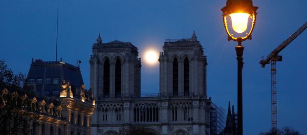La catedral de Notre Dame - Sputnik Mundo