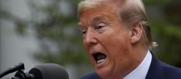 El presidente de EEUU, Donald Trump, durante un discurso - Sputnik Mundo