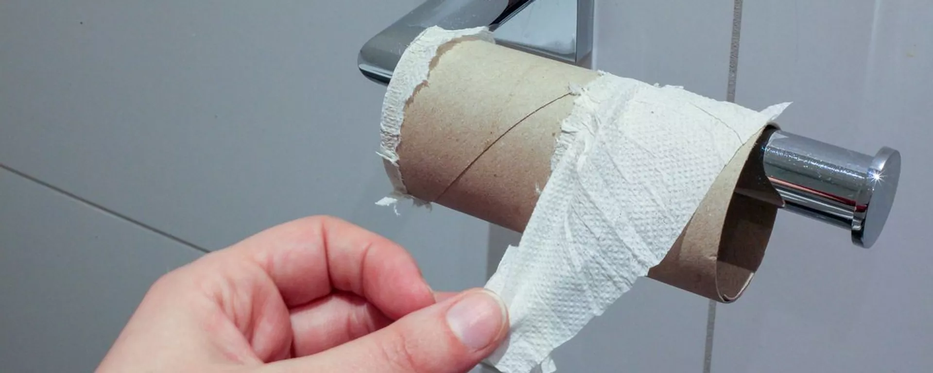 Papel higiénico Papel higiénico - Sputnik Mundo, 1920, 15.04.2020