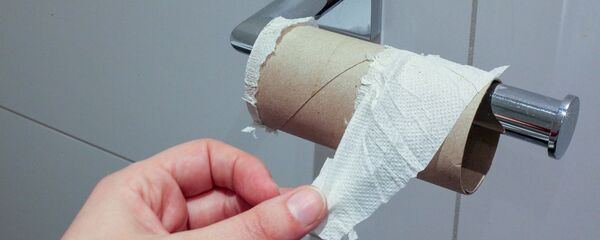 Papel higiénico - Sputnik Mundo