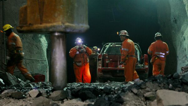 Trabajadores en faena de extracción - Sputnik Mundo