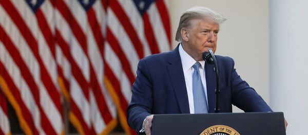 Donald Trump, presidente de EEUU Donald Trump, presidente de EEUU - Sputnik Mundo