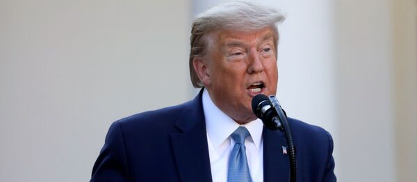 Donald Trump, presidente de EEUU - Sputnik Mundo