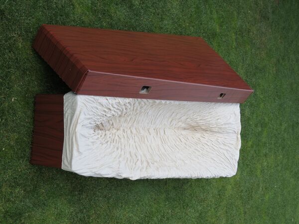 La mayor funeraria de España: Somos una víctima más del coronavirus - Sputnik Mundo