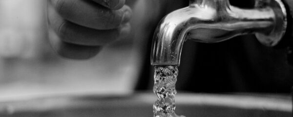 Grifo de agua  - Sputnik Mundo