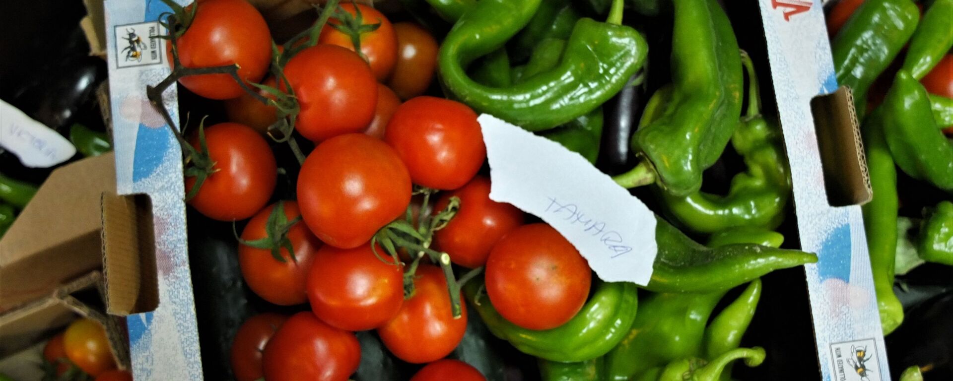 Una caja de verduras en el banco de alimentos de La Brecha, en Madrid. - Sputnik Mundo, 1920, 16.11.2020