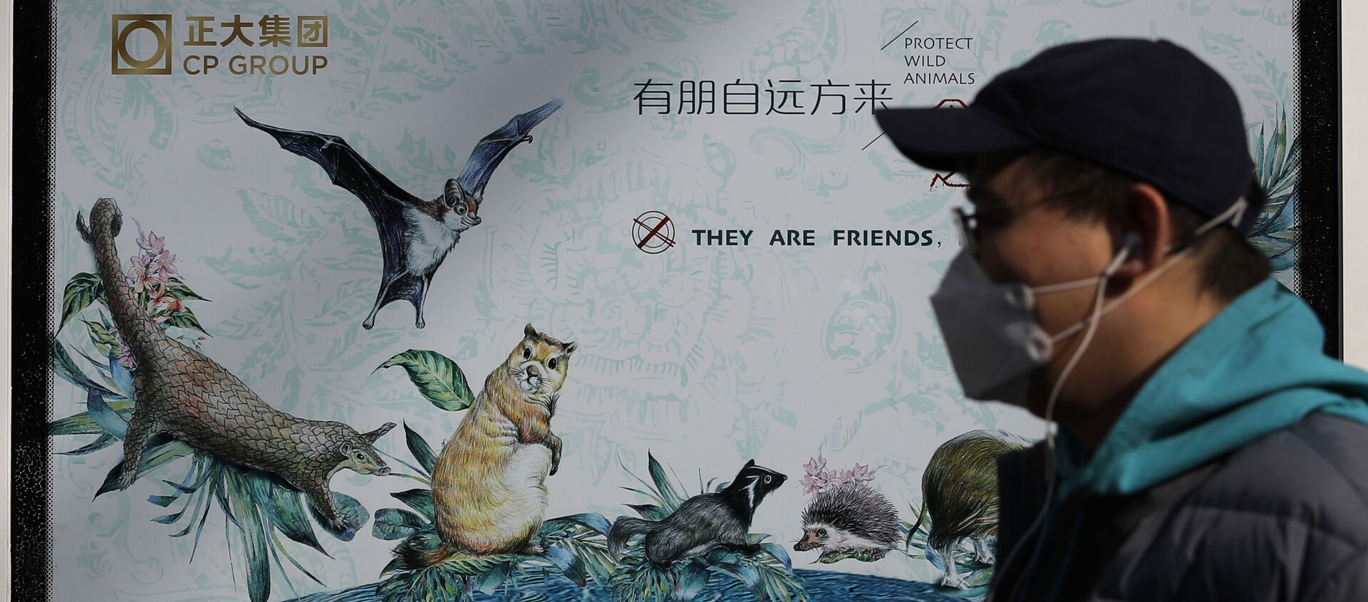 Un hombre con mascarilla puesta pasa cerca de un póster publicitario que promueve la protección de los animales salvajes - Sputnik Mundo, 1920, 20.05.2020