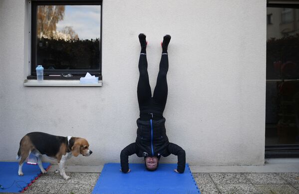 Así se mantienen en forma los atletas y bailarines profesionales durante la cuarentena
 - Sputnik Mundo