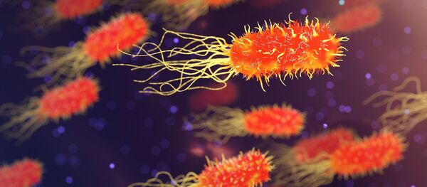 Bacterias (imagen referencial) Bacterias (imagen referencial) - Sputnik Mundo