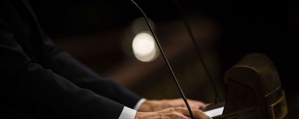 Pedro Sánchez en el Congreso de los Diputados - Sputnik Mundo