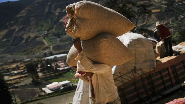 Campesinos venezolanos (archivo) - Sputnik Mundo