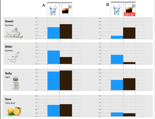 El café altera el sentido de gusto - Sputnik Mundo