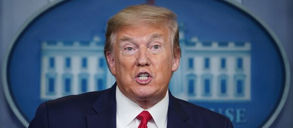 Donald Trump, presidente de EEUU - Sputnik Mundo