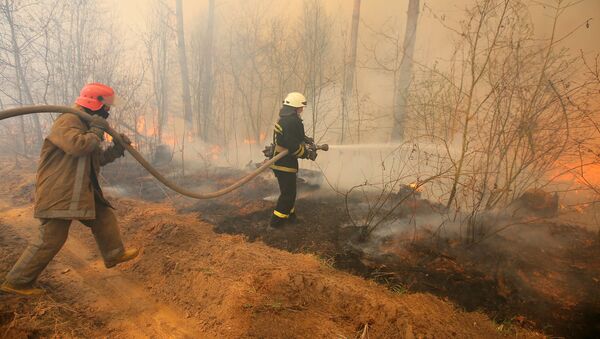 Incendios en zona de exclusión de Chernóbil - Sputnik Mundo