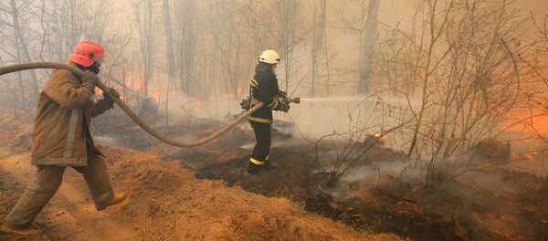Incendios en zona de exclusión de Chernóbil - Sputnik Mundo