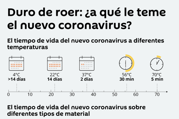 Duro de roer: ¿a qué le teme el nuevo coronavirus? - Sputnik Mundo