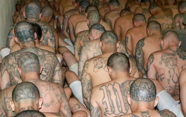 Mezcla de pandillas en una prisión de El Salvador Mezcla de pandillas en una prisión de El Salvador - Sputnik Mundo