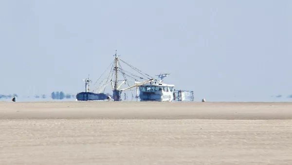 Espejismo, imagen referencial - Sputnik Mundo