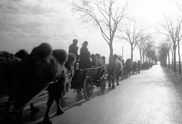 Las instantáneas históricas de la Batalla de Berlín - Sputnik Mundo