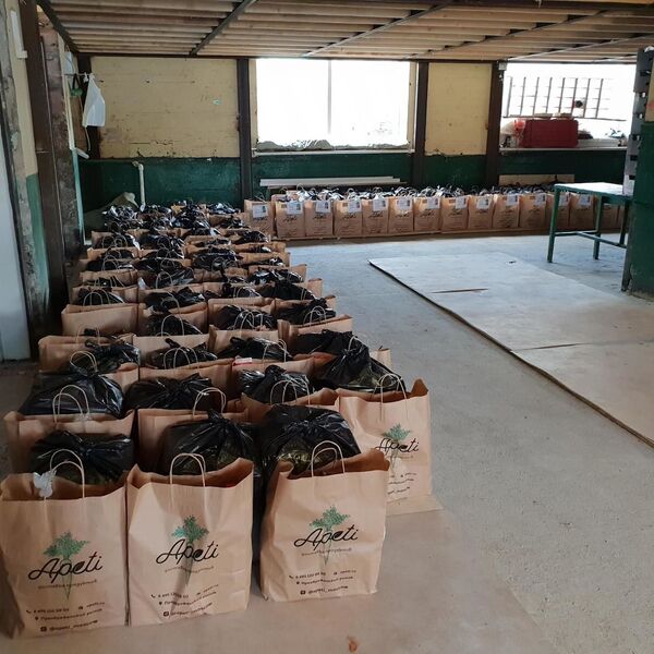 Cubanos varados en Rusia, rehenes del COVID-19 - Sputnik Mundo