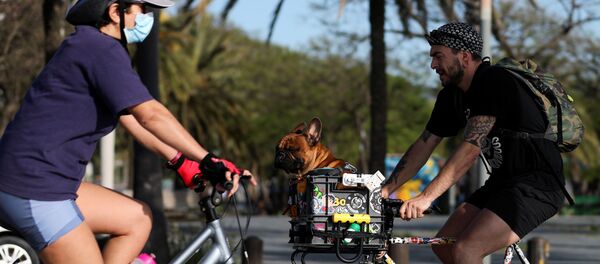 Ciclistas en Barcelona - Sputnik Mundo