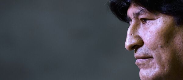 Evo Morales, expresidente de Bolivia - Sputnik Mundo