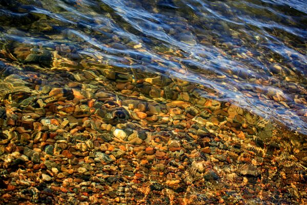 El lago Baikal se despierta en primavera - Sputnik Mundo