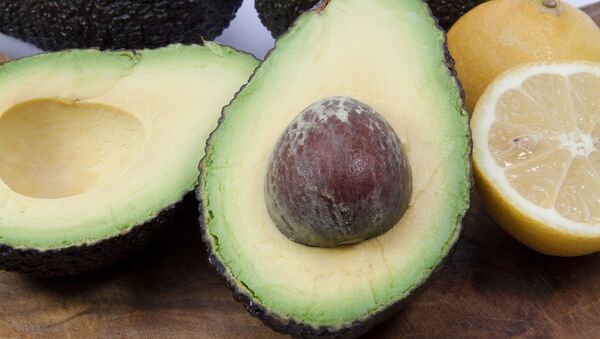 Aguacates y limones (imagen referencial) - Sputnik Mundo