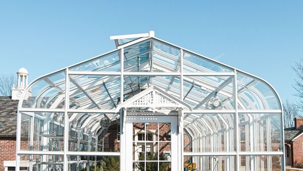 Un invernadero (imagen referencial) - Sputnik Mundo