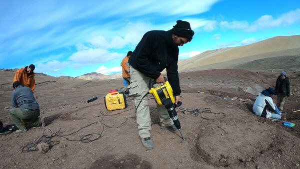 Paleontólogos en Argentina descubren dinosaurio - Sputnik Mundo