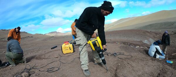 Paleontólogos en Argentina descubren dinosaurio - Sputnik Mundo