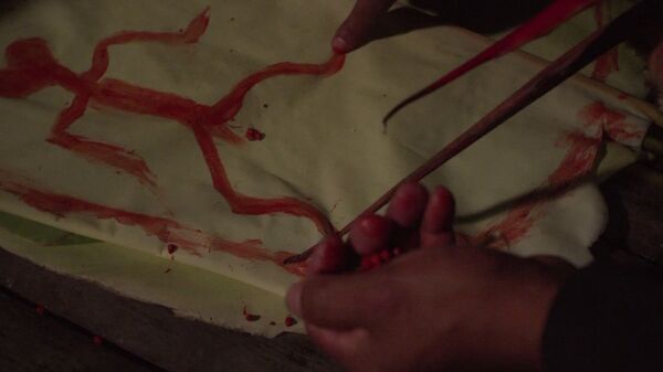 Asesinatos de indígenas y erradicaciones de coca en plena cuarentena en Colombia  - Sputnik Mundo