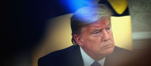 Donald Trump, presidente de EEUU - Sputnik Mundo