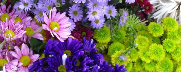 Flores en plena primavera (imagen referencial) - Sputnik Mundo