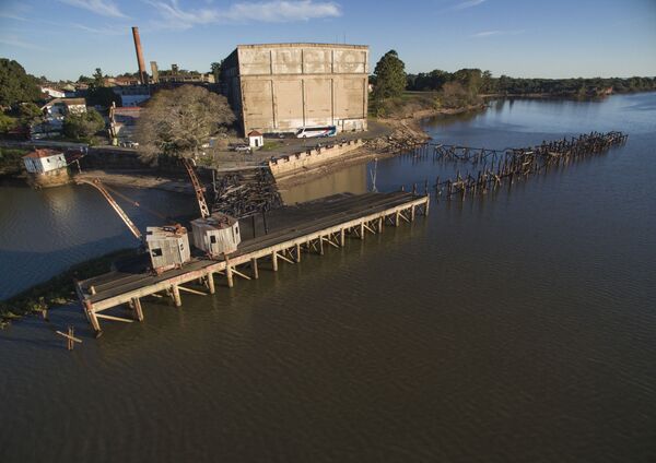 Carne enlatada uruguaya, arma secreta de la Segunda Guerra Mundial Carne enlatada uruguaya, arma secreta de la Segunda Guerra Mundial - Sputnik Mundo
