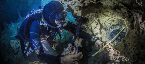 Hallazgos en el cenote Aktun Ha, México - Sputnik Mundo