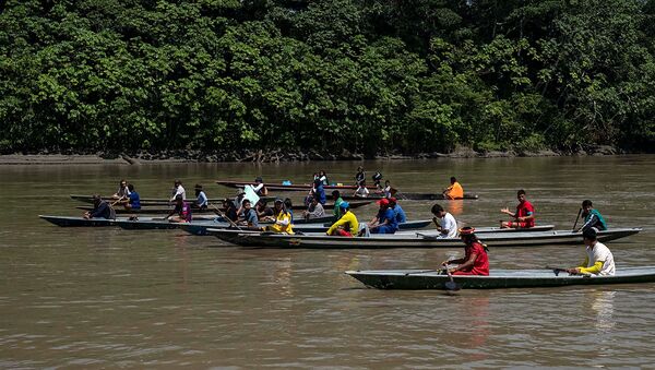 Los indígenas de la etnia Siekopai en la Amazonía ecuatoriana - Sputnik Mundo