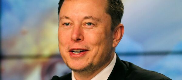 Elon Musk, director de Tesla - Sputnik Mundo
