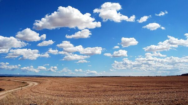 Nubes cumulus - Sputnik Mundo