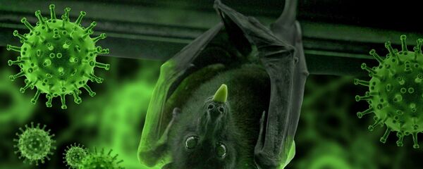 Murciélago y el coronavirus (imagen referencial) - Sputnik Mundo