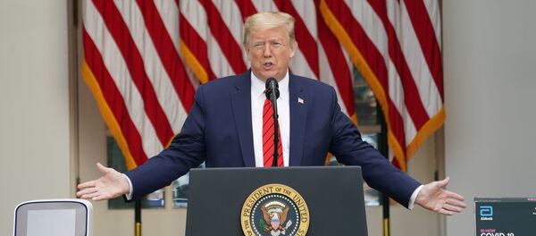 Donald Trump, el presidente de EEUU - Sputnik Mundo