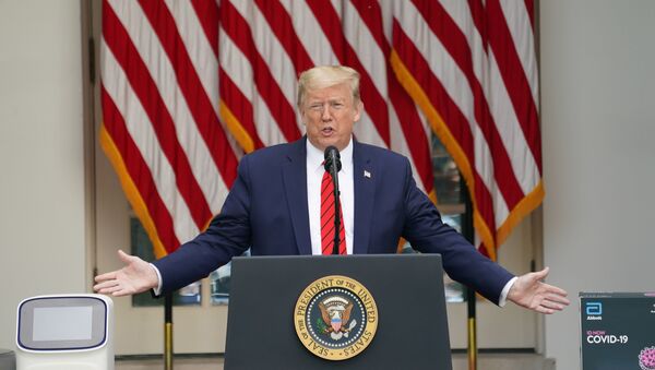 Donald Trump, el presidente de EEUU - Sputnik Mundo