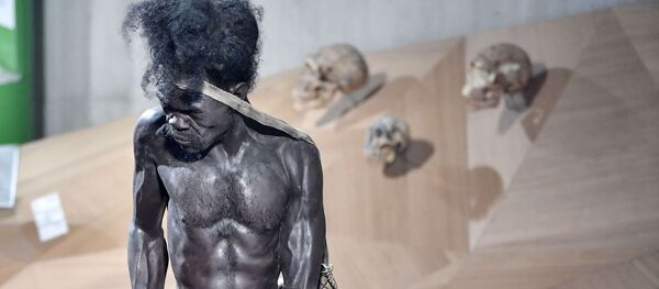 Homo sapiens, imagen ilustrativa - Sputnik Mundo