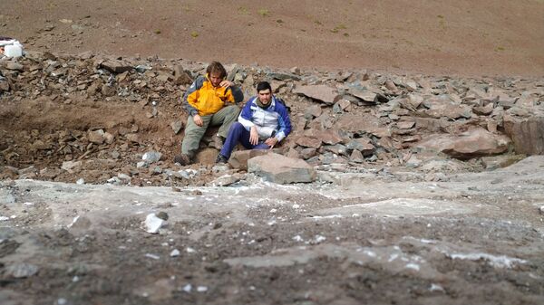 Hallan un megarraptor de 10 metros de hace 70 millones de años en Argentina  - Sputnik Mundo