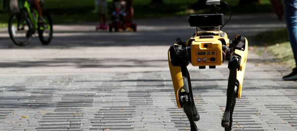 Perro robot en Singapur - Sputnik Mundo
