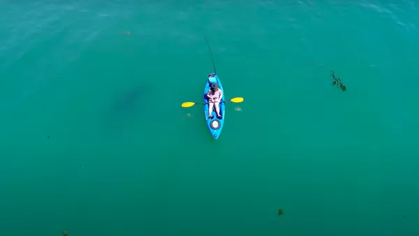 Salvado por el azar: un tiburón blanco le perdona la vida a un kayakista