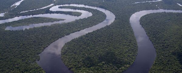 Selva amazónica de Perú cerca de la ciudad de Iquitos - Sputnik Mundo