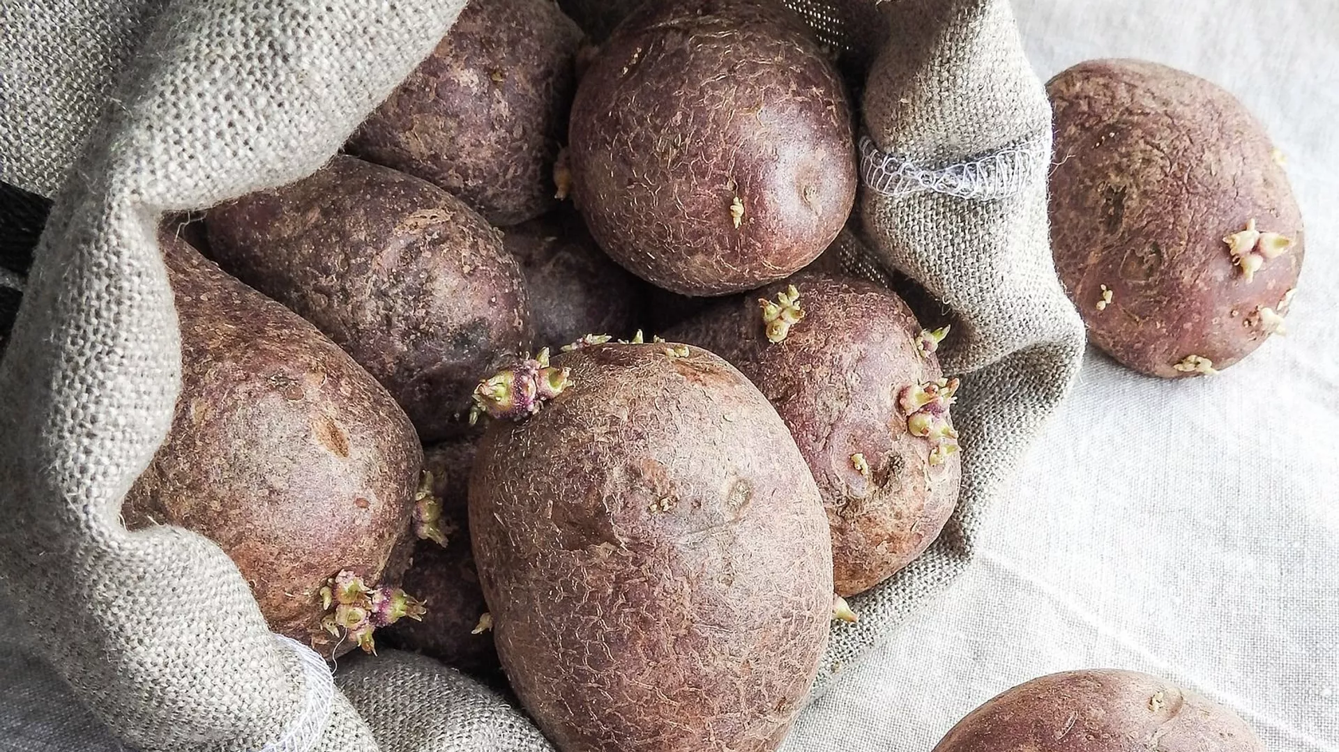 Patatas viejas