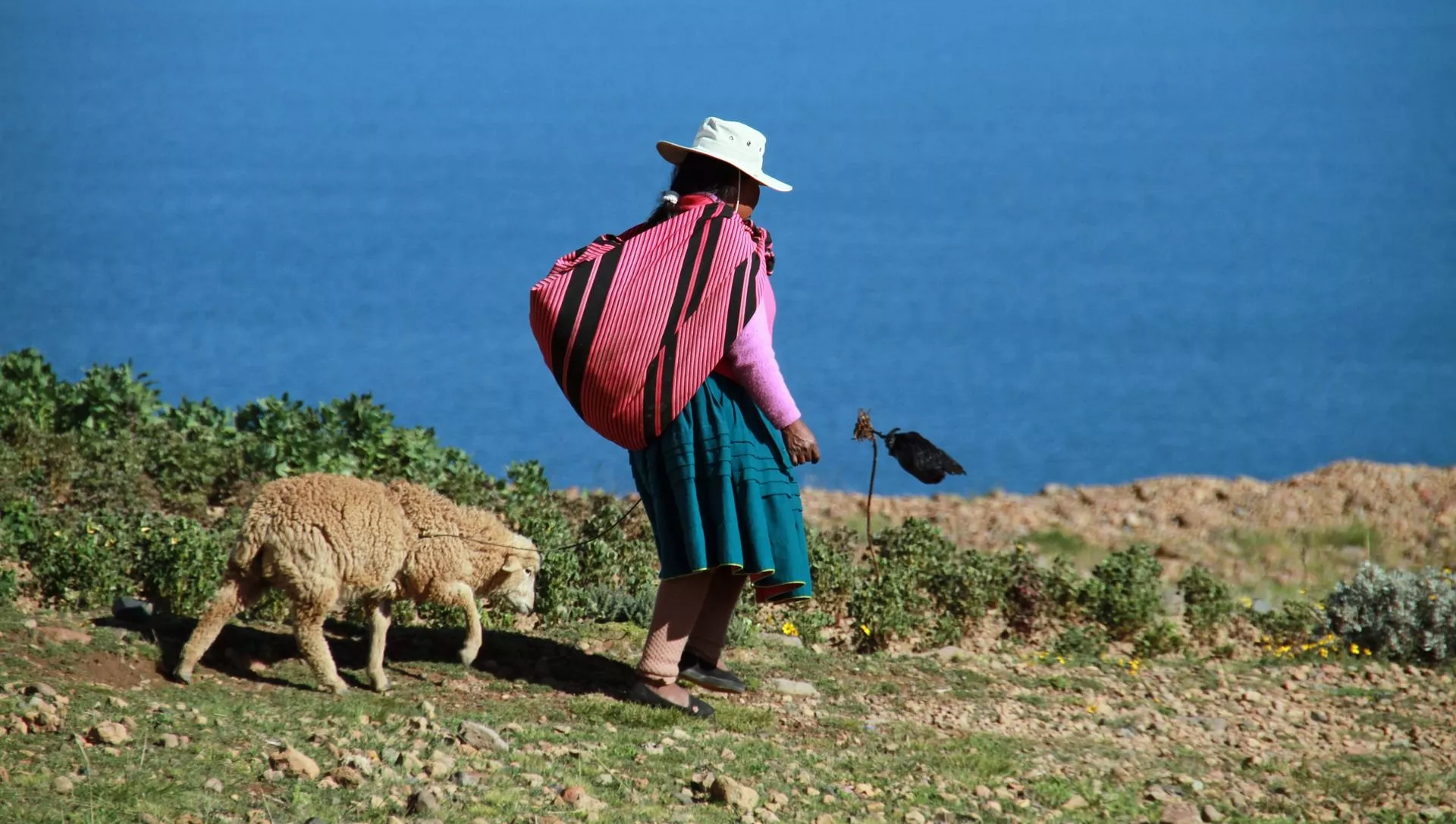 Una mujer en el lago Titicaca, Perú (imagen referencial)