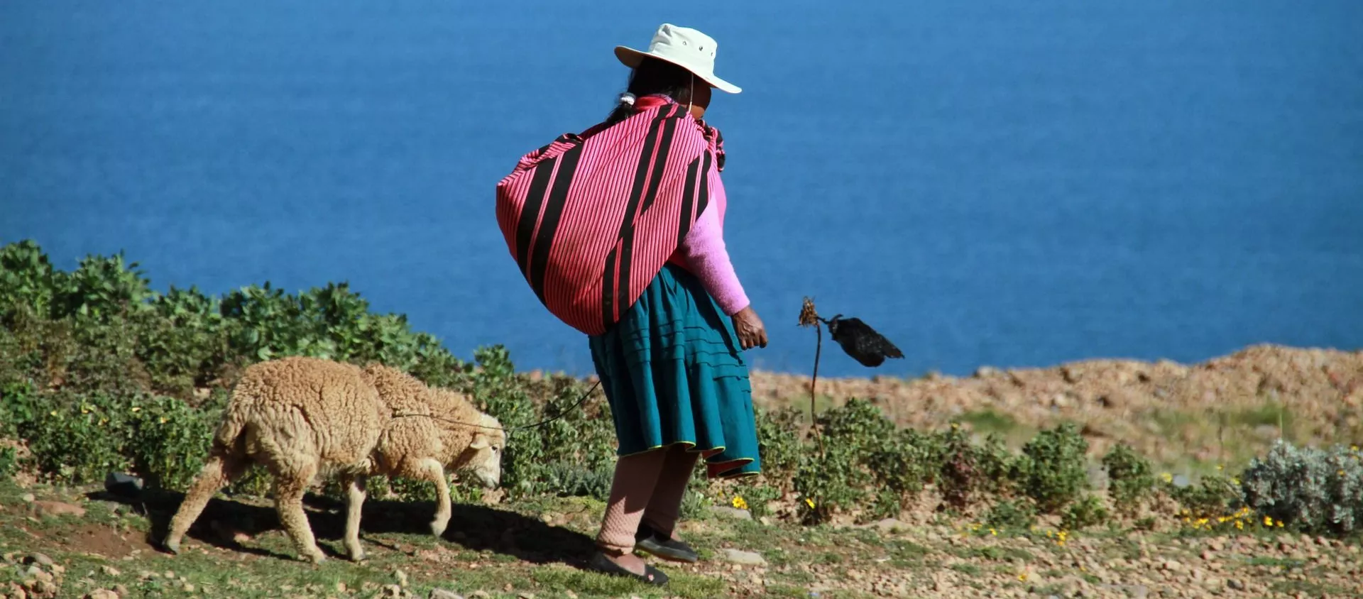 Una mujer en el lago Titicaca, Perú (imagen referencial) Una mujer en el lago Titicaca, Perú (imagen referencial) - Sputnik Mundo, 1920, 16.05.2020